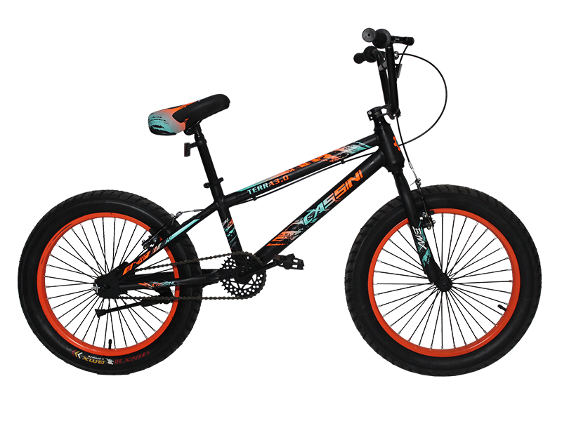 Sepeda Cassini BMX TERRA 3.0